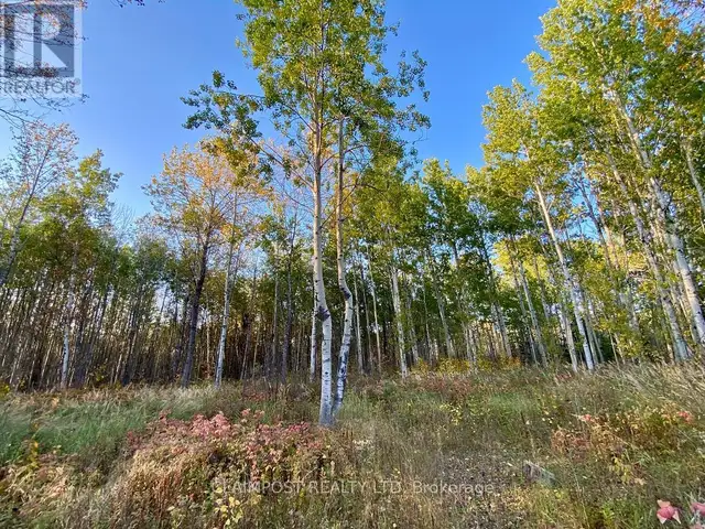 6524 HIGHWAY 11 HIGHWAY N Iroquois Falls, Ontario in Land for Sale in Timmins - Image 17