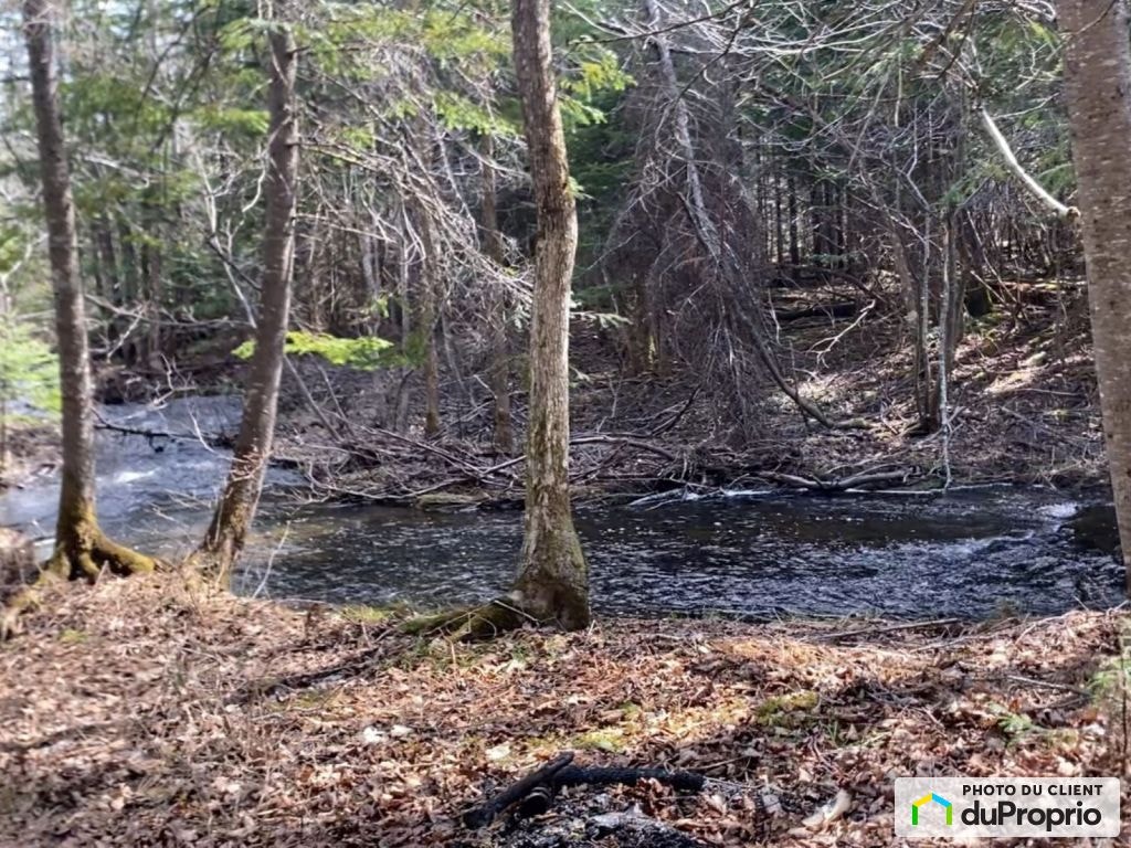 $75,000 - Residential Lot for sale in Lac Frontière — photo 1