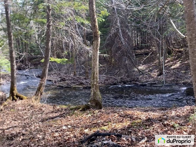 $75,000 - Residential Lot for sale in Lac Frontière — photo 1