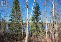 28200 NESS LAKE ROAD Ness Lake, British Columbia