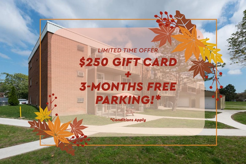 Meadowbrook Apartments 2 Bedroom Apartment for Rent Long Term