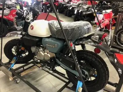 2025 HONDA Z 125 MAS Z 125 MAS Monkey ABS Grey NEW - Reg $5549 Advertised at $ 5449 Including fine p...