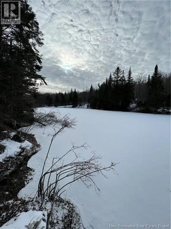 Lot Shaw Road Shenstone, New Brunswick in Land for Sale in Moncton - Image 10
