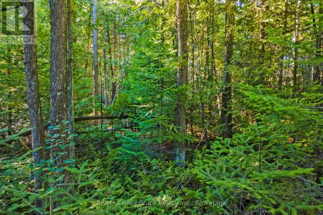 30 HURON PARK ROAD Northern Bruce Peninsula, Ontario in Land for Sale in Owen Sound - Image 30