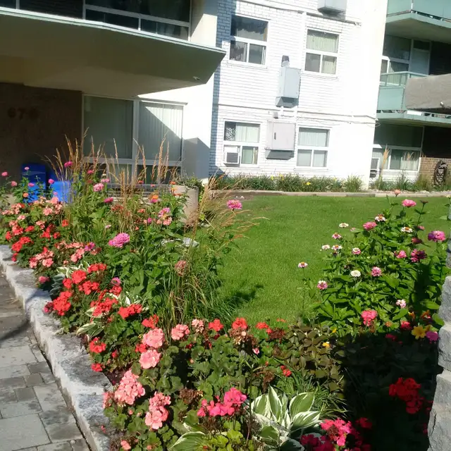 Rose Park - 1 Bedroom Large Apartment for Rent | Long Term Rentals ...