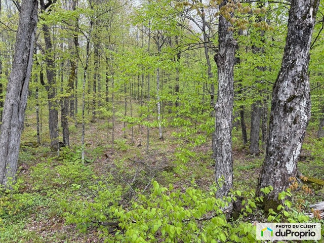 $79,000 - Residential Lot for sale in St-Alfred — photo 2