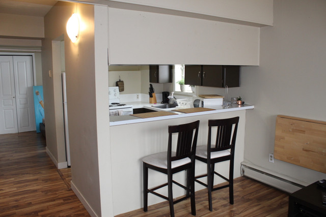 Lower Mount Royal Apartment For Rent | Parada Estates in Long Term Rentals in Calgary - Image 2