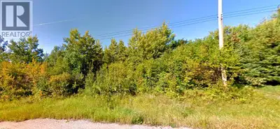 Welcome to 1070 Churchill Park Road, a .49-acre treed lot in the desirable Lakeview Estates subdivis...