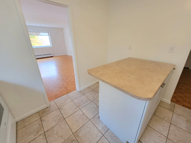 2 Bedroom Apartment Available for Rent in Long Term Rentals in Kingston - Image 4