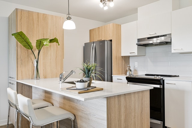 2540 rue Maurice-Savoie — photo 1
