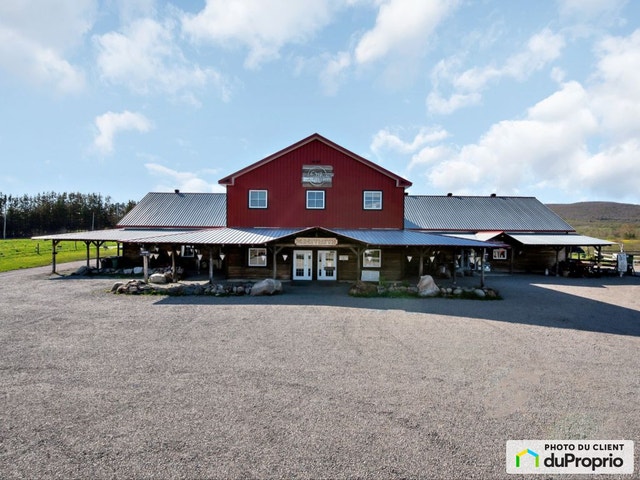 $3,125,000 - Farm for sale in St-Augustin-De-Desmaures — photo 2