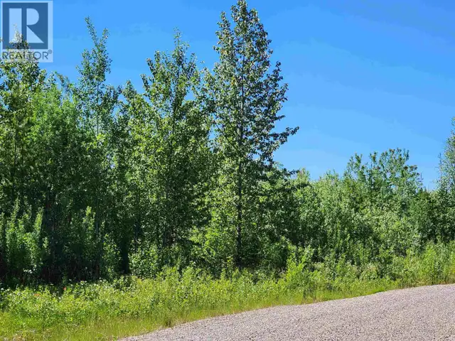 LOT 6 PAMELA ROAD Prince George, British Columbia in Land for Sale in Prince George - Image 4