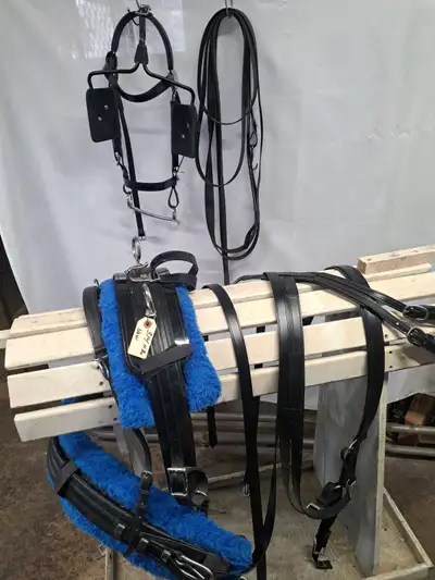 HORSE DRIVING HARNESS, View more