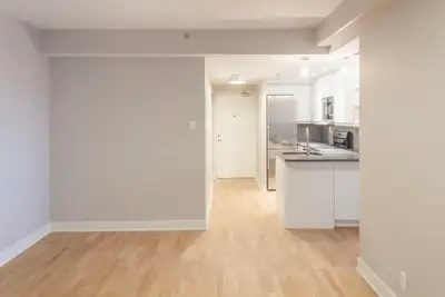 renovated one-bedroom apartment near McGill - ID 1088