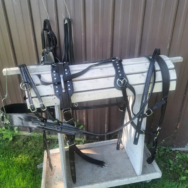 HORSE SIZE HARNESS in Equestrian & Livestock Accessories in Owen Sound - Image 3