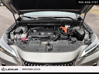 LUXURY ... Engine: LIGHT/MEDIUM DUTY L/100Km City: 5.7 L/100Km Hwy: 6.4 Safety Equipment Electronic... (image 7)