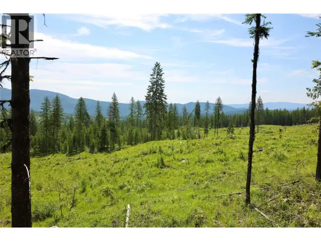 2375 BELCHROME FSR Road Bridesville, British Columbia in Land for Sale in Penticton - Image 16