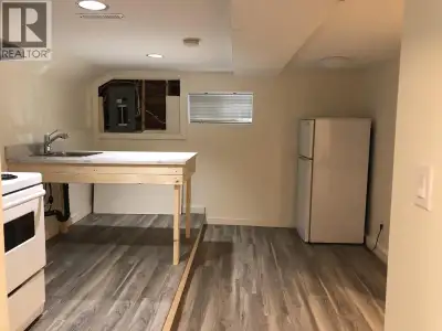 Metrotown Brand New Renovated 1 Bed 1 Bath Single house lower level for rent, it has separate entran...