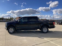 This Ford F-150 has a powerful Ecoboost 3.5L V6 engine powering this Automatic transmission. Dealer... (image 9)