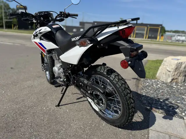 2025 Honda XR150L Standard in Street, Cruisers & Choppers in Kitchener / Waterloo - Image 6
