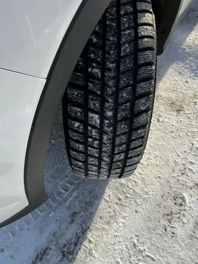 2019 Ford Escape SE AWD | Ford Pass | Heated Front Seats | Blue  in Cars & Trucks in Regina - Image 24