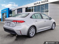 Wheels: 16 Steel Wheels w/Full Wheel Covers Urethane Gear Shifter Material Tv Tuner Pre-Wiring Trunk... (image 4)