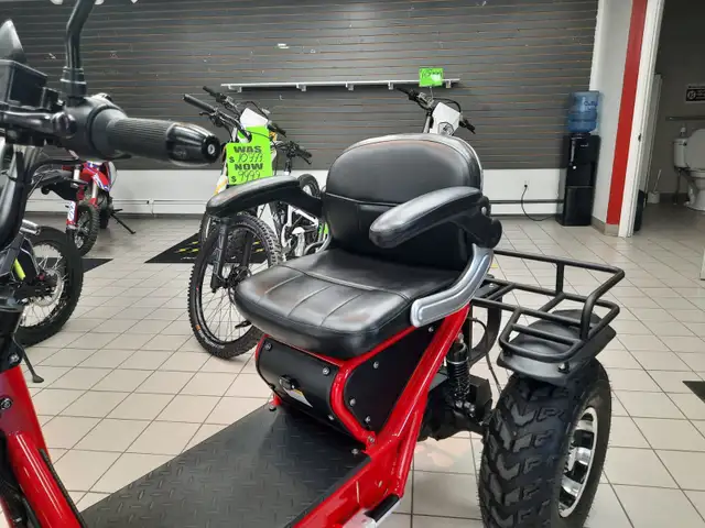 9999 Daymak Boomer Beast 2D in ATVs in Bridgewater - Image 12