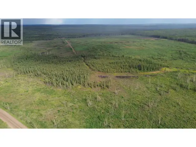 1111 BIRLEY ROAD Buick Creek, British Columbia in Land for Sale in Fort St. John - Image 25