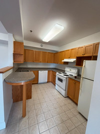This charming and roomy two-bedroom apartment offers a perfect blend of comfort and convenience. Bui... (image 1)