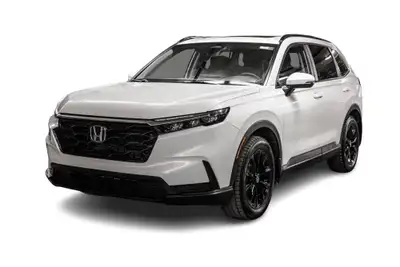 Contactez notre équipe pour réserver la démonstration et l'essai routier. Demandez directement à l'u...