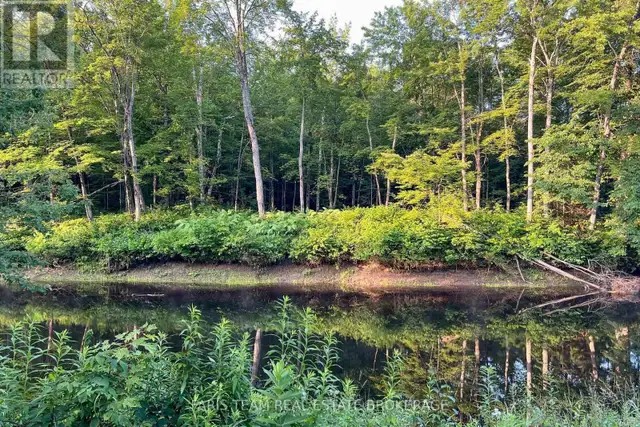 PART LOT 28 CONCESSION 12 BLACK RIVER ROAD Kawartha Lakes (Dalto in Land for Sale in Barrie - Image 15