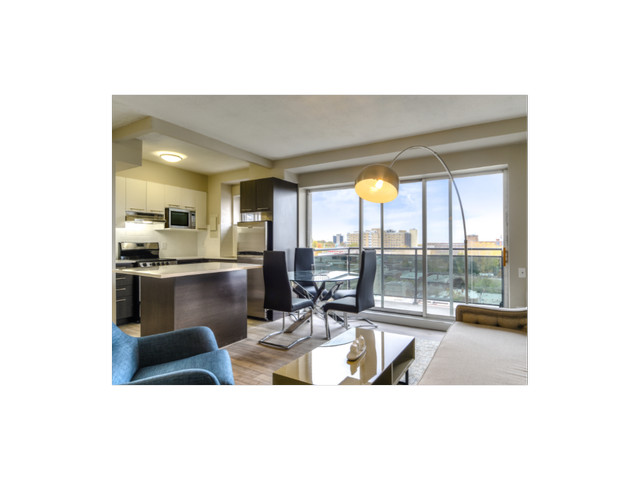 1 Bedroom Apartment for Rent - 1150 Rue Sherbrooke East dans Locations longue durée  à Ville de Montréal - Image 2