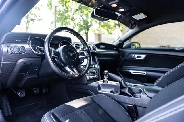 2022 Ford Mustang591903183644938248