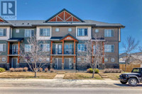 248 Skyview Ranch Way NE Calgary, Alberta