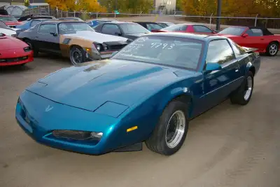 David Ts Camaro & Firebird Rare car, low production, 16 inch wheels, custom stereo, strut, tower bra...