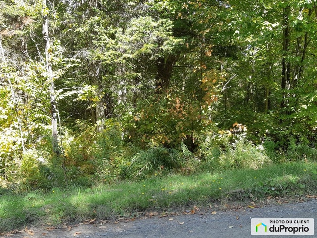 $66,000 - Residential Lot for sale in Weedon — photo 2