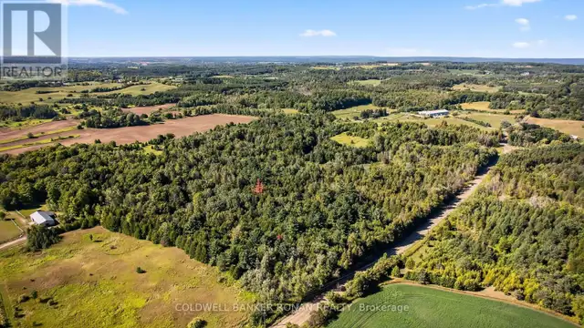 8155 19TH SIDE ROAD King (Schomberg), Ontario in Land for Sale in Barrie - Image 5