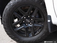 WAS: $48000 NOW: $44600 plus taxes and licensing feesExperience the power and versatility of the 202... (image 5)