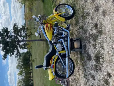 2009 CVO, Springer, Softail, Screaming Eagle, Collectors, only 2500 built in the world. 1800 cc EFT...