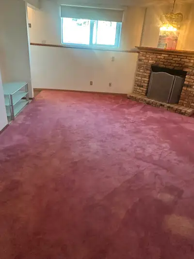 Excellent Walkout basement suite.
