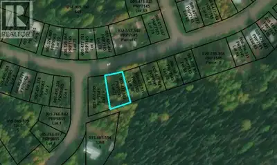 Great level and partially cleared lot near the top of Morrison Street in quiet and scenic Granisle....