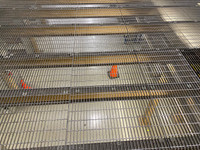 USED Steel Bar Grate For Mezzanine Floors and Storage Platforms