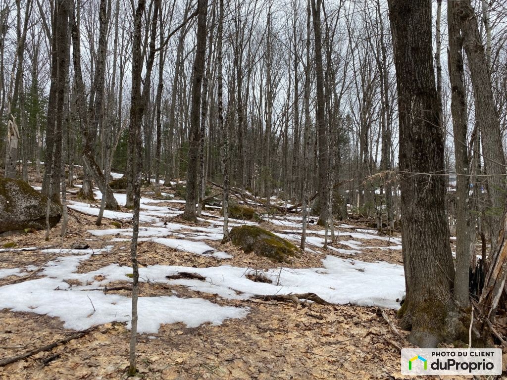 $259,000 - Residential Lot for sale in Prevost — photo 3
