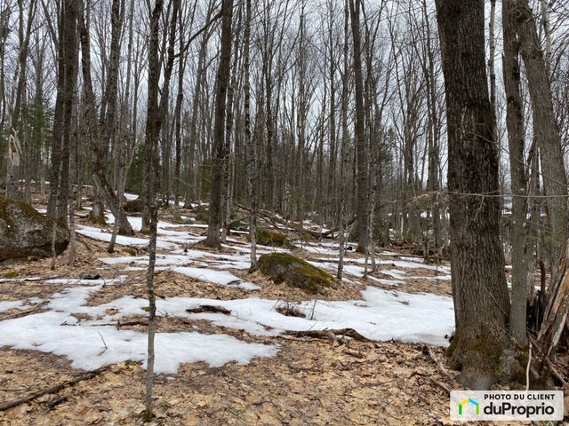 $259,000 - Residential Lot for sale in Prevost — photo 3