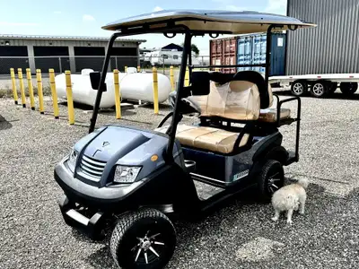 IN STOCK, NO HIDDEN FEES Zephyr 2+2 4 Seats 32 km/h 70 km range 4.5 m (14.8 ft.) turning radius 48v...