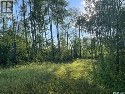 Build your dream home or cabin getaway at Northwood Shores on beautiful Delaronde Lake. This attract...