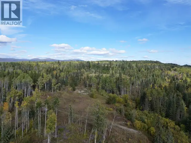 DL 2035 HIGHWAY 16 Fraser Lake, British Columbia in Land for Sale in Burns Lake - Image 24