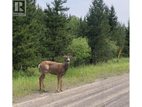 LOT 1 5916 LITTLE FORT 24 HIGHWAY Lone Butte, British Columbia 100 Mile House Cariboo Area Preview