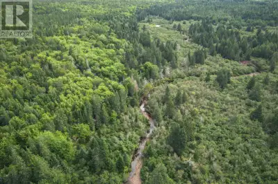 This is a very special piece of property! It was home to the amazing 45-foot white spruce tree donat...