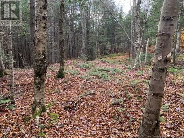 21-01 Worden Road Kingston, New Brunswick in Land for Sale in Saint John - Image 3